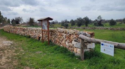 Tutela dell’ambiente: concluso il progetto Interventi finalizzati alla d...