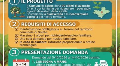 AVVISO PUBBLICO FINALIZZATO ALLA FORNITURA GRATUITA DI ALBERI DI AVOCADO