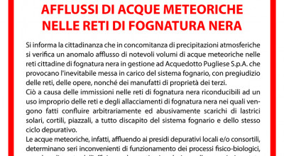 AFFLUSSI DI ACQUE METEORICHE NELLE RETI DI FOGNATURA NERA