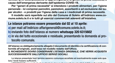 AVVISO PUBBLICO CONCESSIONE DEI BUONI SPESA  Ordinanza Protezione Civile n. 6...