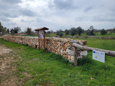 Tutela dell&rsquo;ambiente: concluso il progetto &ldquo;Interventi finalizzat...